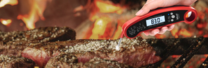 Waarvoor gebruik je instant read vleesthermometers